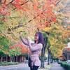 trinh_phan